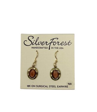 SILVER FOREST Beveled Frame with Stone Earrings