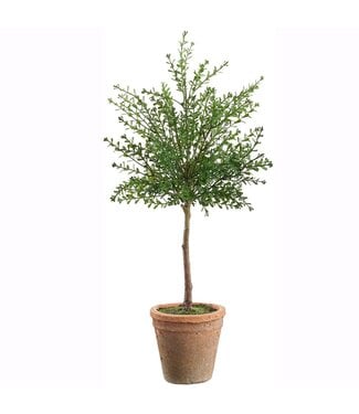 23 Inch UV Protected Myrtle Topiary