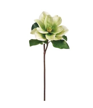 28 Inch Magnolia Spray