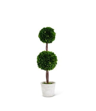 27.5 Inch Preserved Boxwood Double Ball Topiary In Whitewashed Pot