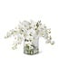 16 Inch Orchid Premade in Glass Vase with Faux Water