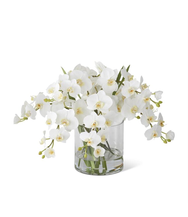 16 Inch Orchid Premade in Glass Vase with Faux Water