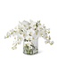 16 Inch Orchid Premade in Glass Vase with Faux Water