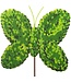 THE ROUND TOP COLLECTION Boxwood Butterfly