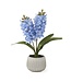 16 Inch Real Touch Hyacinth in White Ceramic Pot w/Faux Dirt
