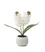 16 Inch Real Touch Hyacinth in White Ceramic Pot w/Faux Dirt