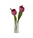 8.5 Inch Real Touch Double Tulip Premade in Glass Vase w/Faux