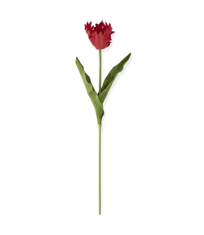 23 Inch Real Touch Parrot Tulip