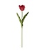 23 Inch Real Touch Parrot Tulip
