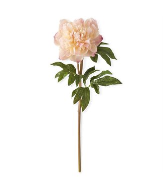 21.5 Inch Coral Charm Real Touch Peony Stem