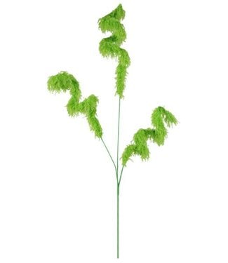 31” Furry Curl Spray Lime Green