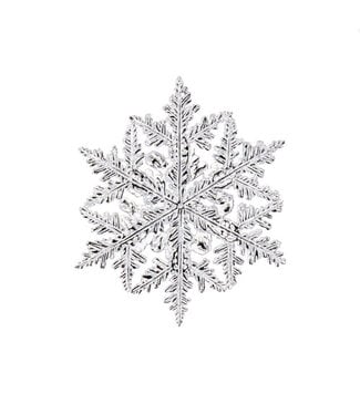 6.5" Silver Jeweled Snowflake Ornament