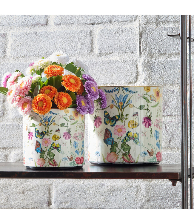 Botanical Flight Container - Sold Individually