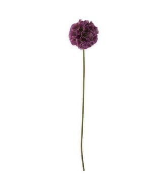22 Inch Dark Purple Scabiosa Pod Stem