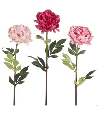 25” Real Touch Peony Stem - Sold Individually