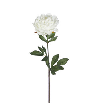 25" Real Touch White Peony Stem