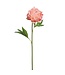 28" Single Peony Stem