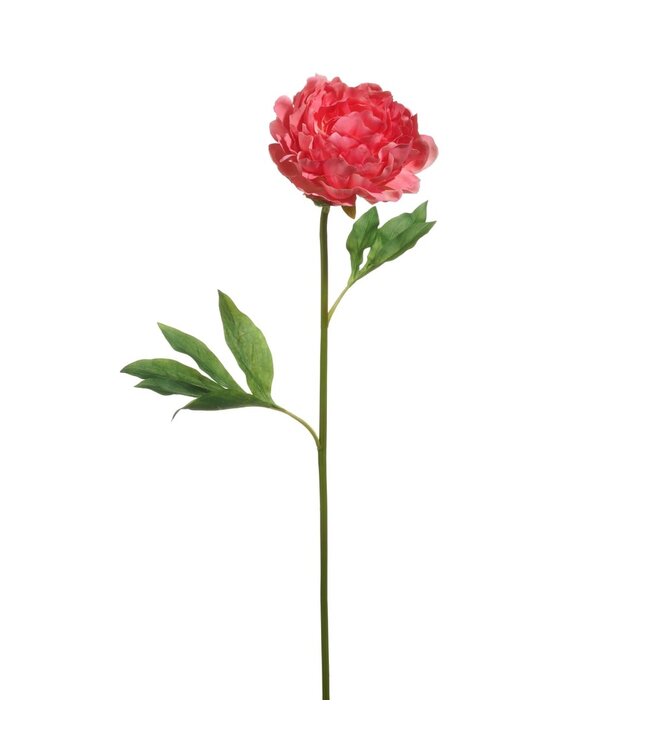 28" Single Peony Stem