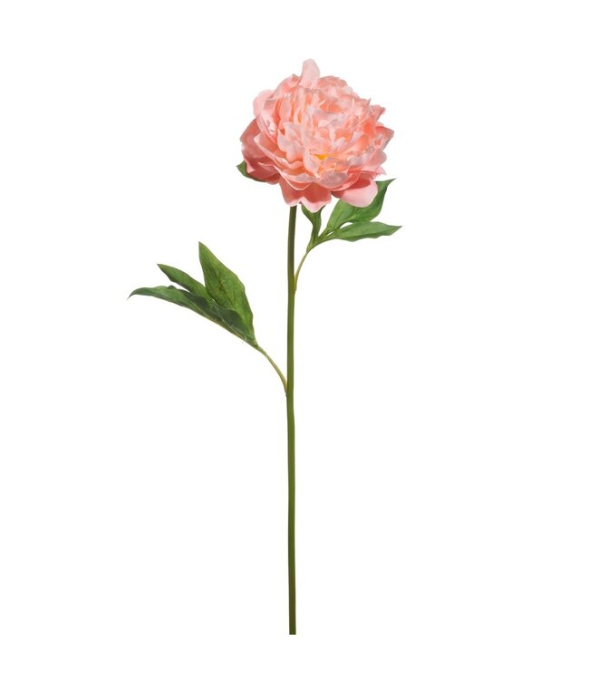 28" Single Peony Stem