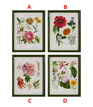 16" Floral Framed Wall Art - Sold Individually