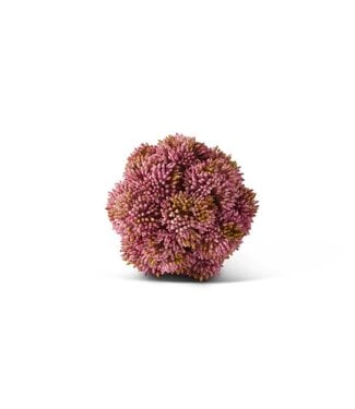 4” Pink Sedum Ball