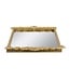 Mirror Tray w/ Gold Frame & Intricate Floral