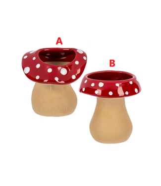 Mushroom Planter