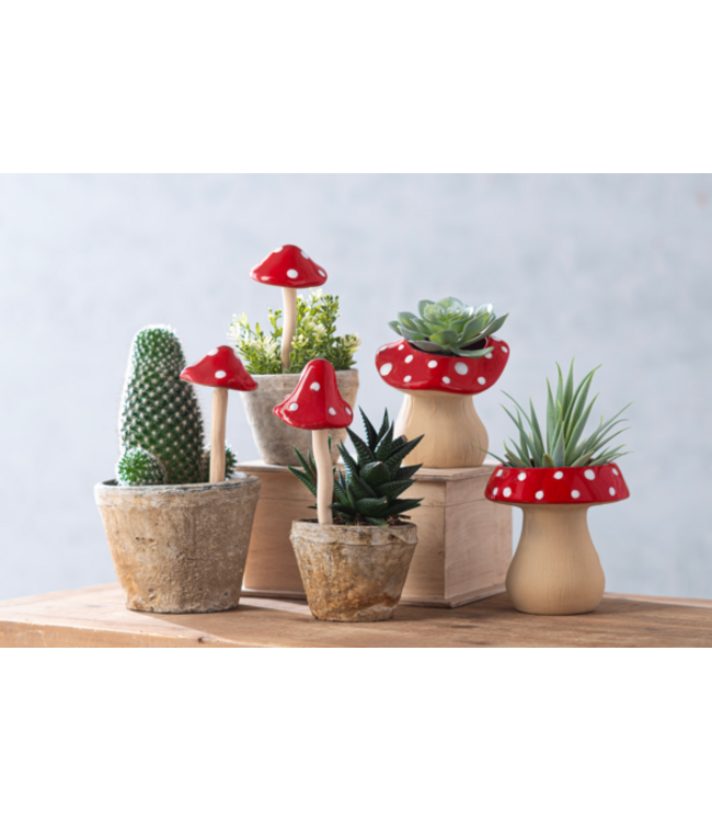 Mushroom Planter