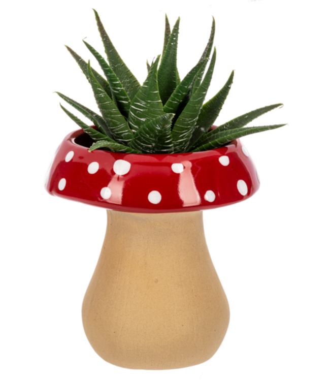 Mushroom Planter
