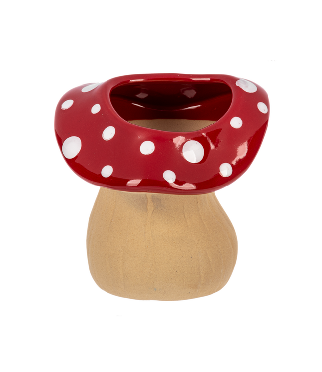 Mushroom Planter