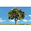 Woodland Scenics Sun Kissed - 2 Trees per package - 6" - 7"  # 3516