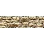 Cooch Enterprises Chooch Medium Radom wall stone # 8252