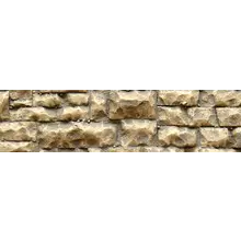 Cooch Enterprises Chooch Medium Radom wall stone # 8252