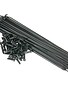 Salt PG Spokes (40/PK)