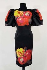 Printed Scuba Dress with Large Sleeves