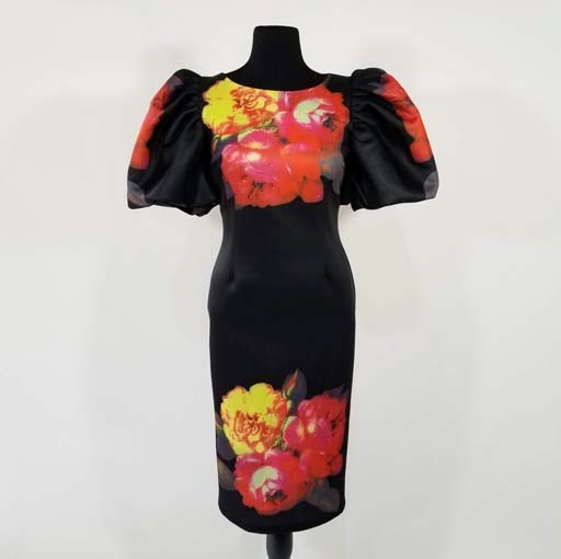 Printed Scuba Dress with Large Sleeves