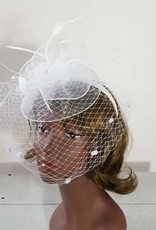 Mesh W Feather Fascinator