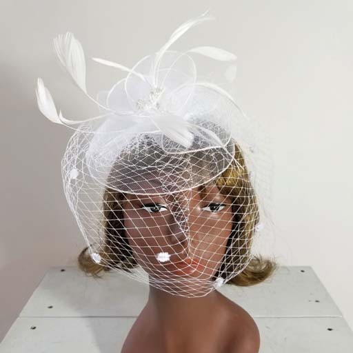 Mesh W Feather Fascinator