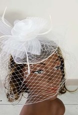 Mesh W Feather Fascinator