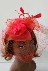 Mesh W Feather Fascinator