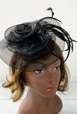 RND Mesh w Feather Fascinator