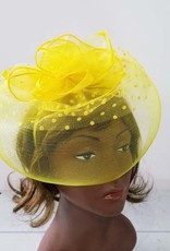 Mesh w Veil and Feathers Fascinator