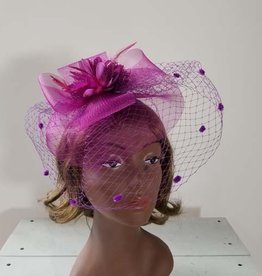 Something Special Mesh Fascinator w/Feather and Flower Center