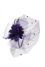 Something Special Mesh Fascinator w/Feather and Flower Center