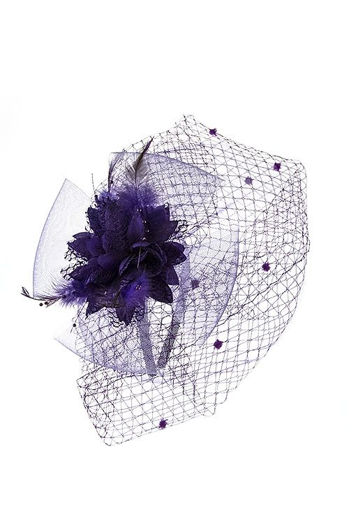 Something Special Mesh Fascinator w/Feather and Flower Center