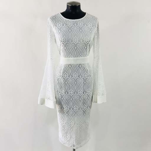 WHY Long Sleeve Lace Dress