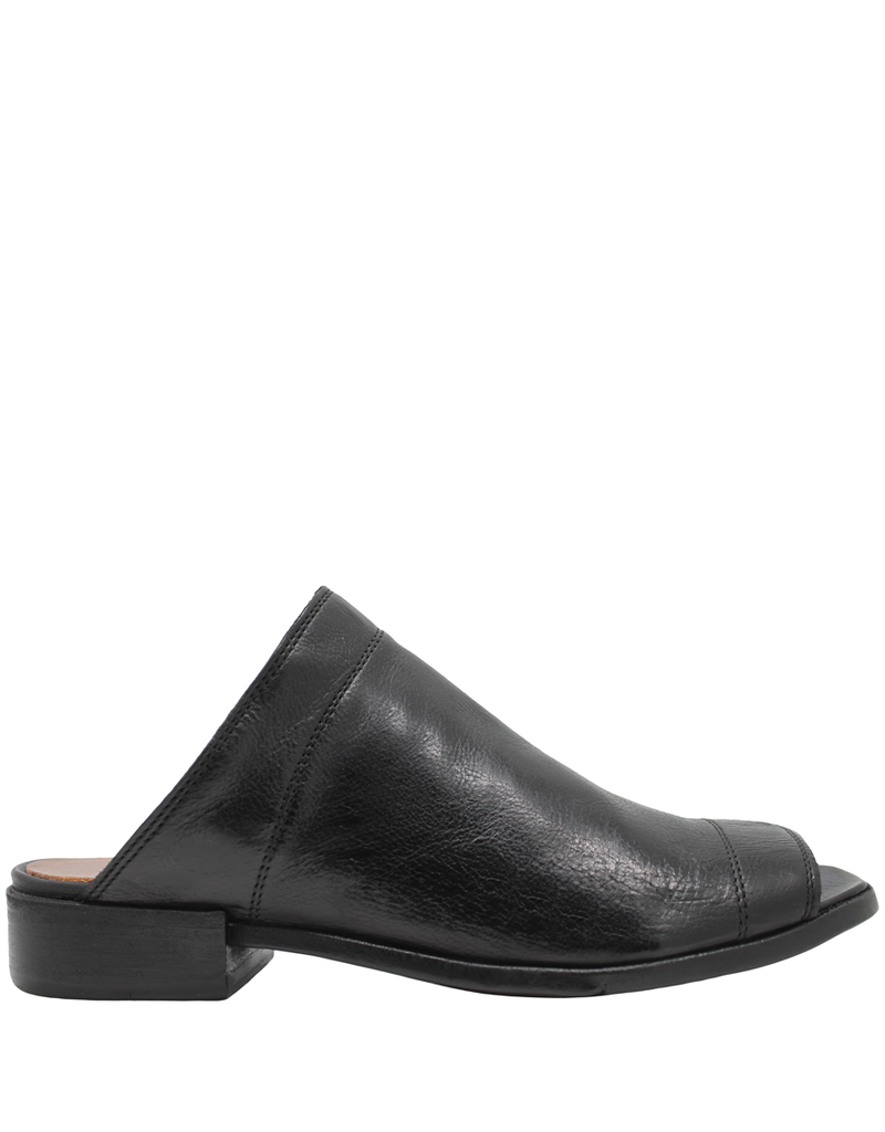 black mule shoes