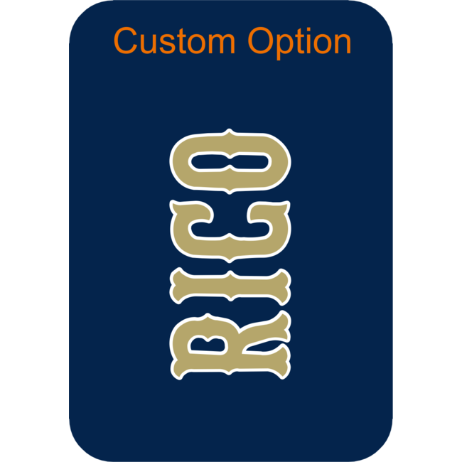 Braves Baseball  Bag Tag