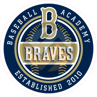 Bagger Sports Braves Baseball Academy Window Decal