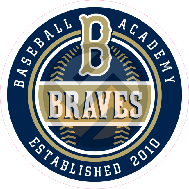 Braves Baseball Academy Window Decal